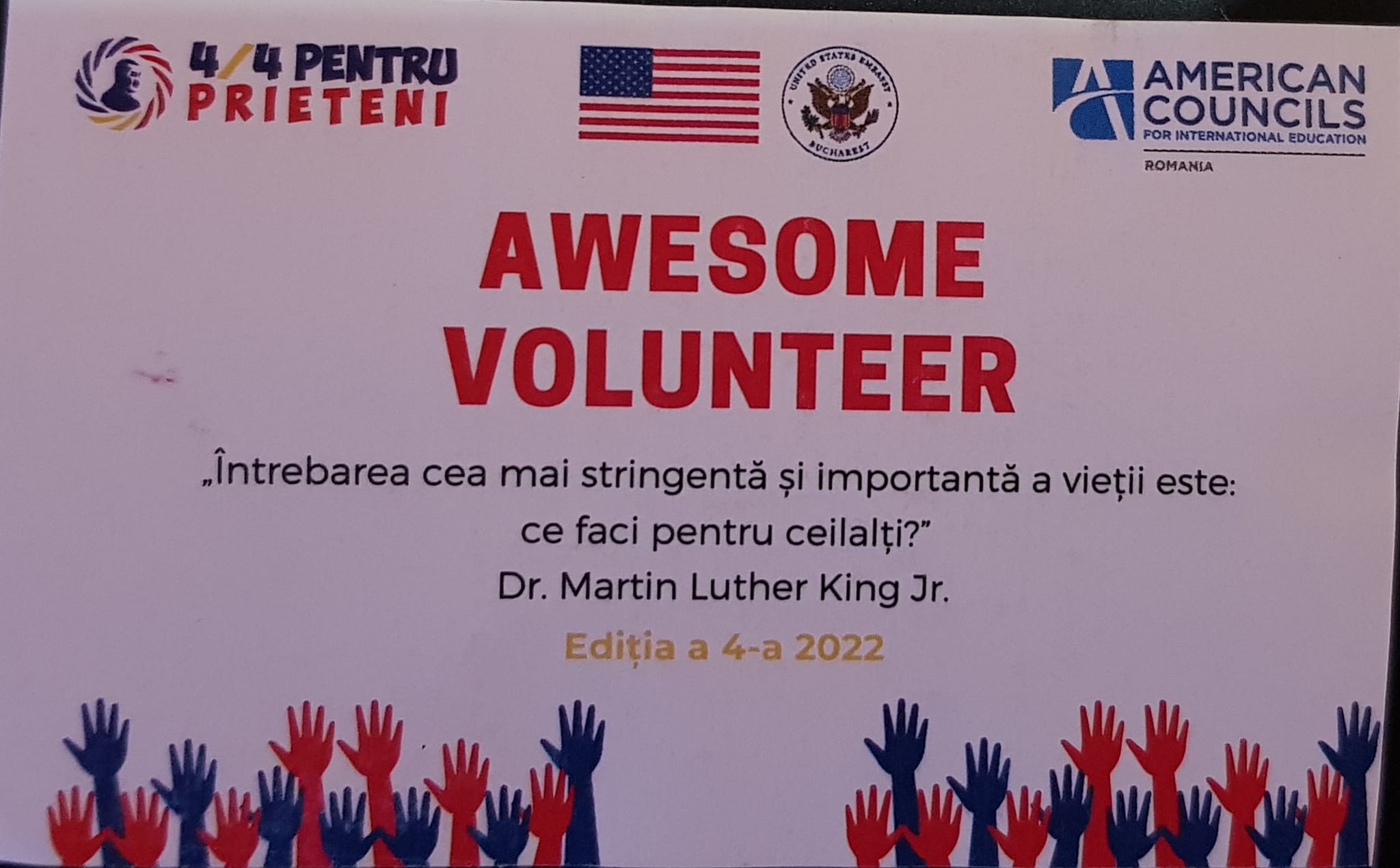 Luna Voluntarului la Colegiul Economic Hermes Petroșani